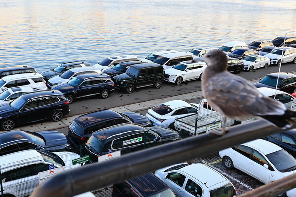 Татьяна Меель/РИА «Новости»   📷