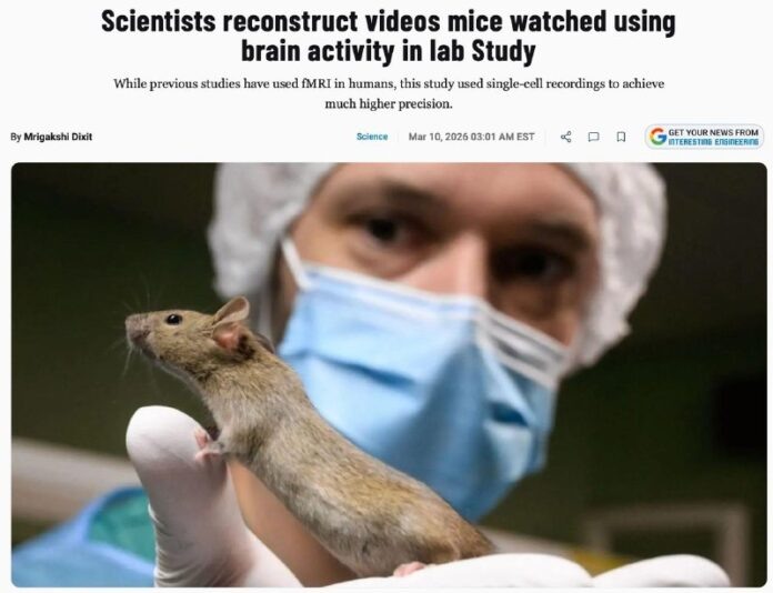    The evolution of streaming technology from simple entertainment to a complex global privacy issue, drawing parallels with the rise of Netflix.