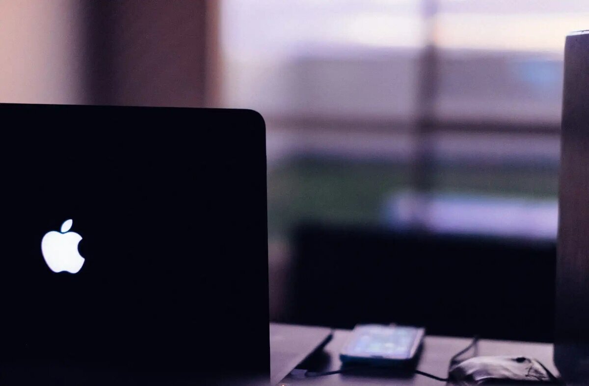 Фото: Jackie Alexander / unsplash.com