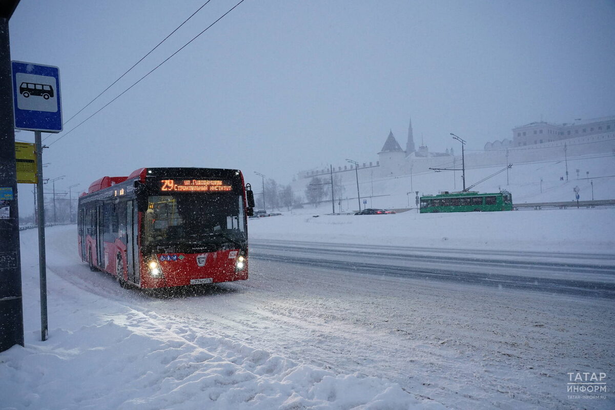 Фото: © Салават Камалетдинов / «Татар-информ»