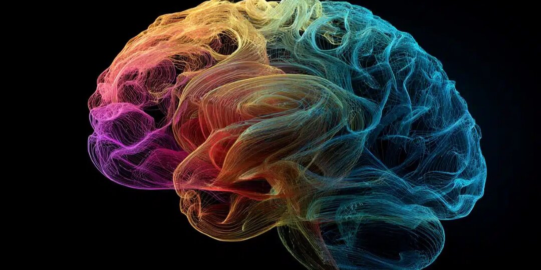 Одна тренировка запускает «волны памяти» в мозге