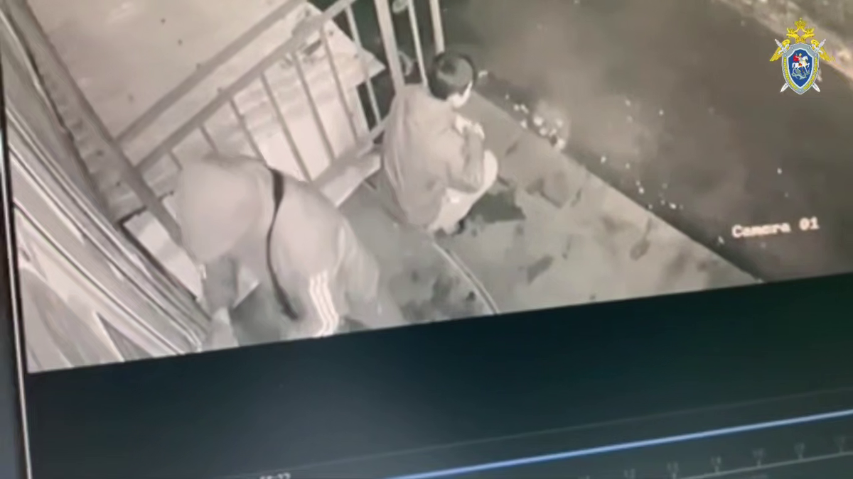 Фото: t.me/sledcom38