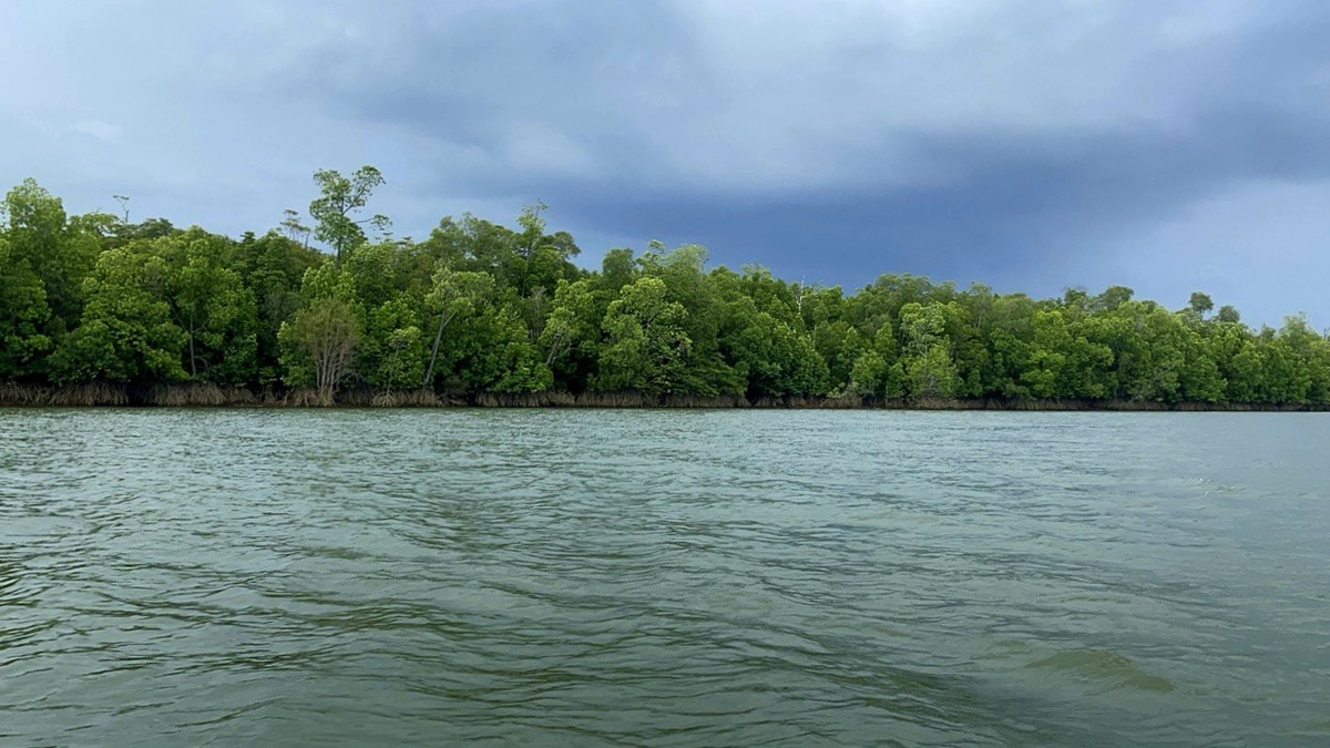 ЦВЕТ ВОДЫ ПО ПУТИ РАЗНЫЙ