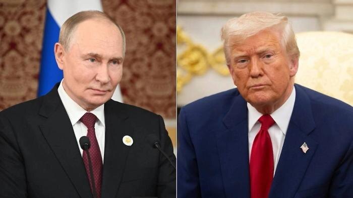 Обложка © Life.ru, © Shutterstock / FOTODOM / noamgalai