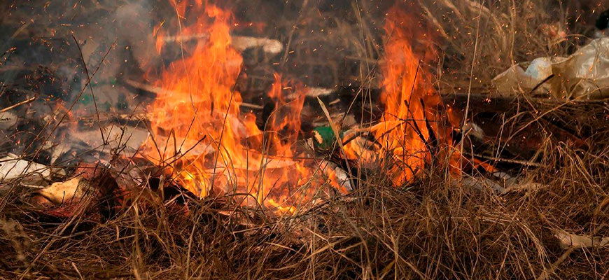    Создано в GigaChat с помощью Kandinsky (https://t.me/gigachat_bot?start=gcr_image_8762255) redaktor