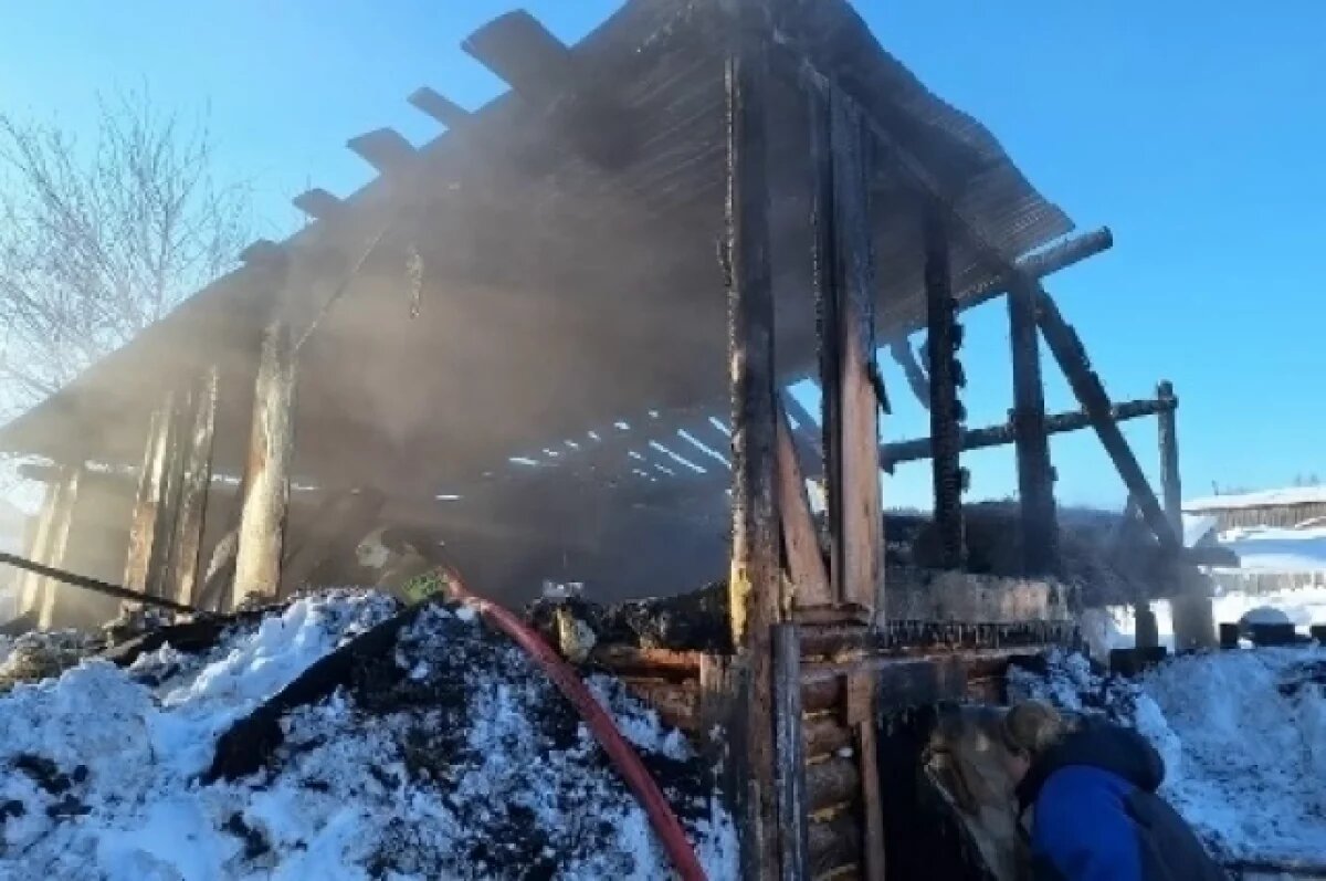    Десять коз погибли при пожаре в конюшне в Удмуртии