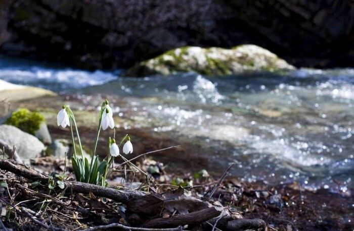 Пенсионеры из деревни Приехали из магазина, купила еды.