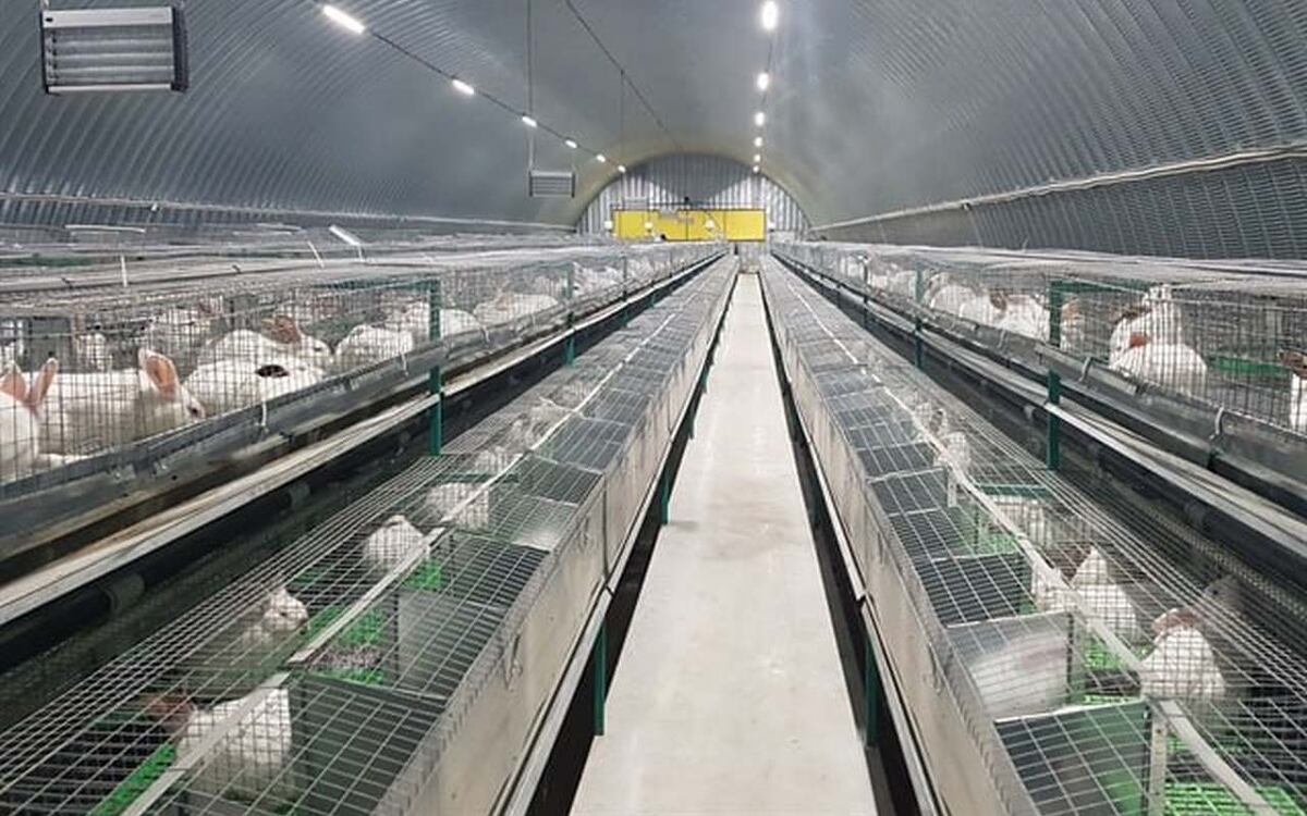    Несостоявшийся тамбовский комплекс по разведению кроликов потерял в цене 30 млн рублей Фото: Business for sale