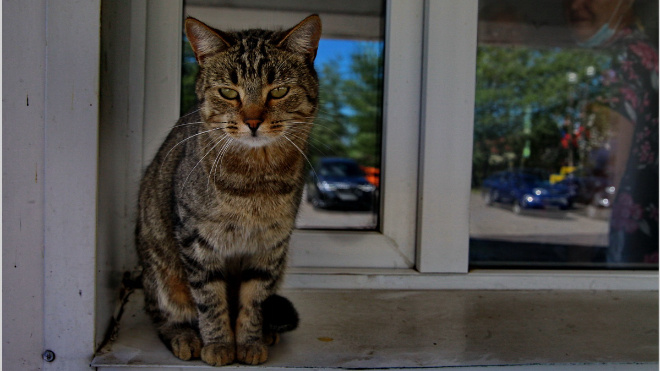 Фото: Анастасия Илюшина/47channel, архив