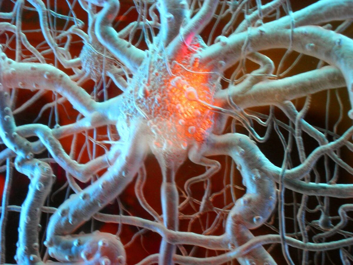     Клетки мозга   
(CC BY-NC 2.0) Michael