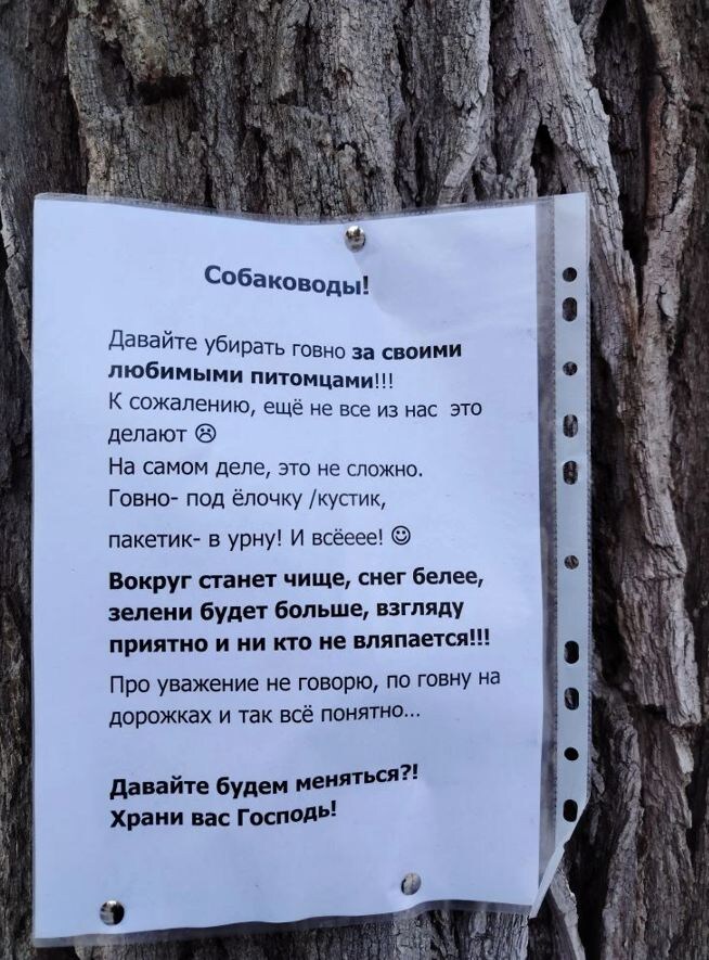    Скриншот 10-03-2026 125717