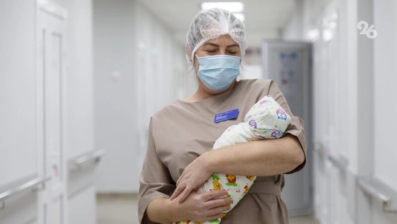      Фото: Дмитрий Ахмадуллин / / ИА «Победа26»