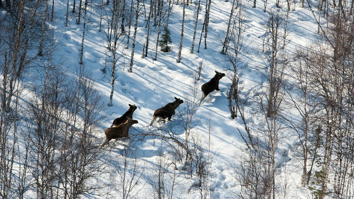    Фото: Serguei Fomine/globallookpress.com