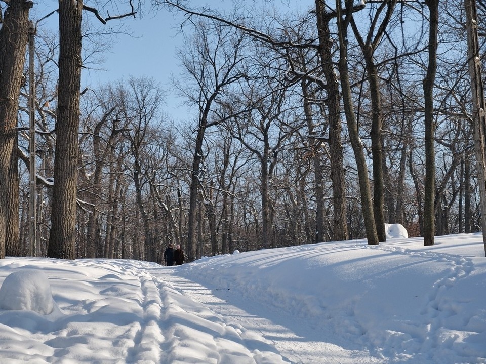    По результатам проверки планируется оценить действия ответственных должностных лиц. Светлана МАКОВЕЕВА