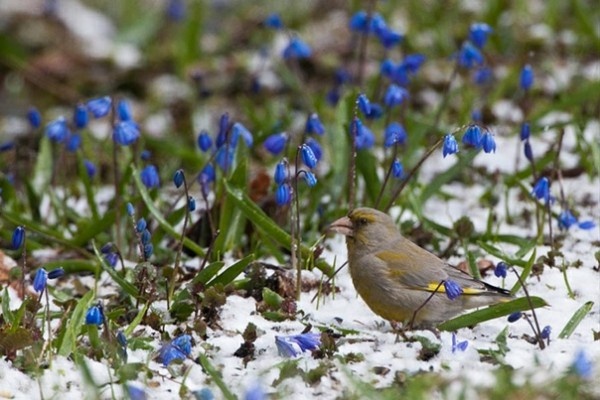 Прогулялась с внуком по улице, приготовила вкусный ужин