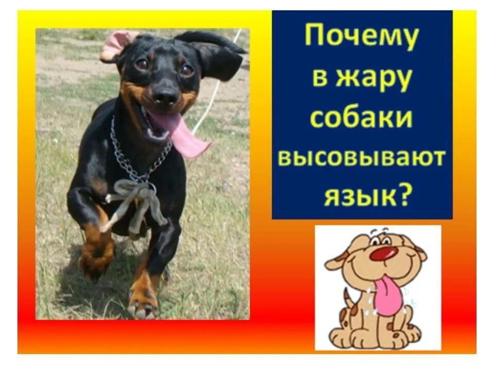 Фотография из интернета