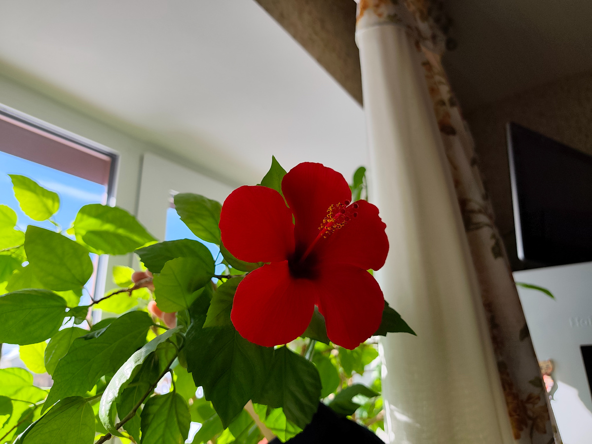 Картинка не в тему, но я так чувствую