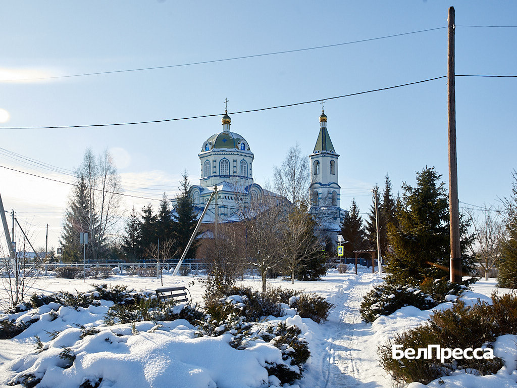     Фото: Елена Журавлёва