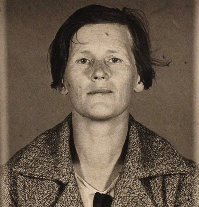 Фото из открытых источников