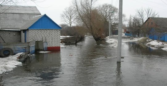     © фото - администрация Курска