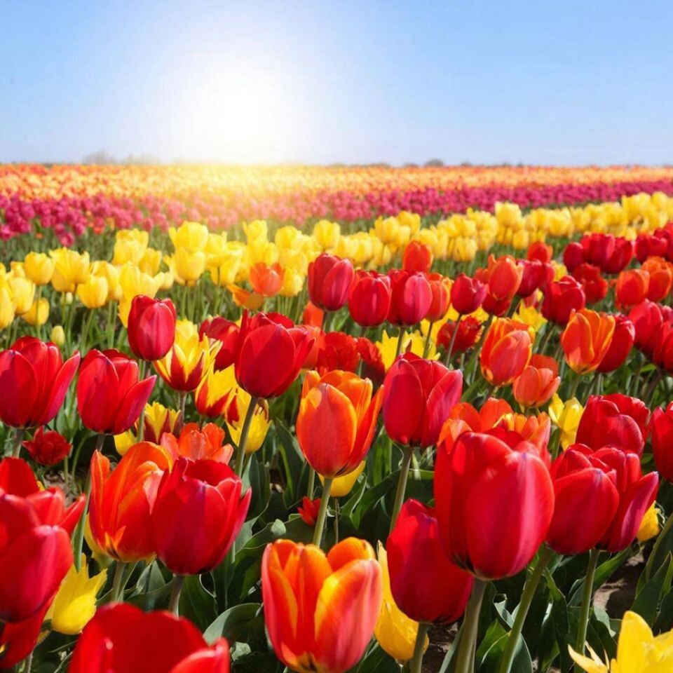    . Источник: Создано в GigaChat