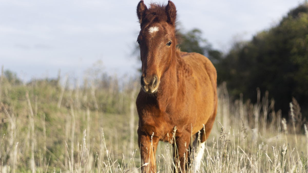    Фото: Freepik.com/@freepik