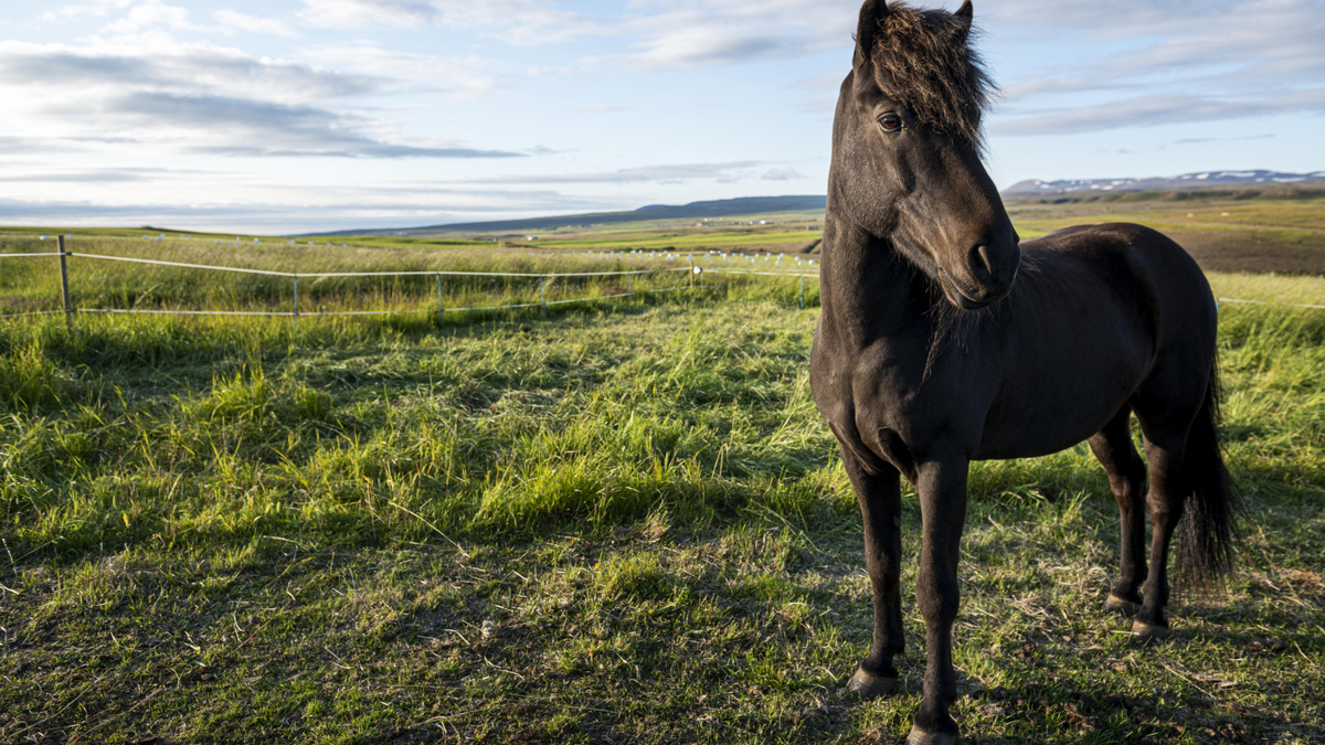    Фото: Freepik.com/@freepik