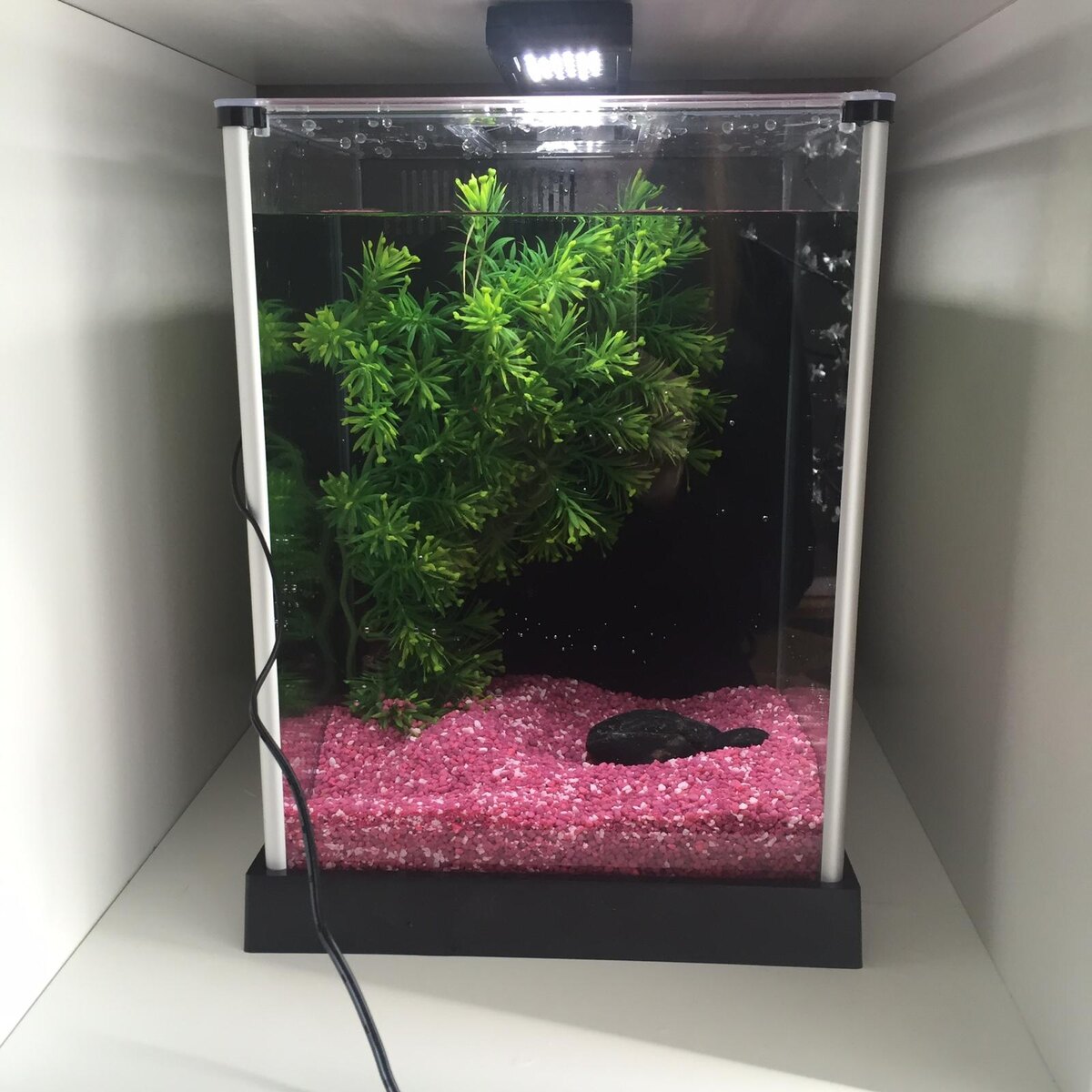 Вот он - этот аквас со всем оснащением. 