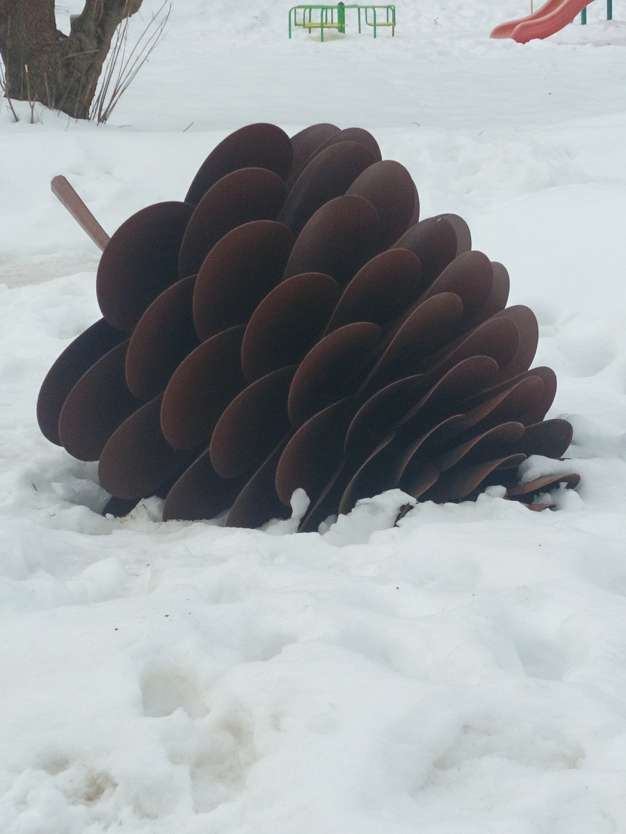 Истринская шишка. Все фотографии: канал Сергей Насекайло. Заметки инвалида по зрению. 