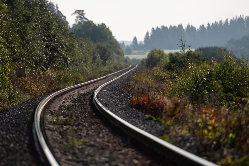    Лось перебегал пути перед близко идущим поездом. Юлия ПЫХАЛОВА