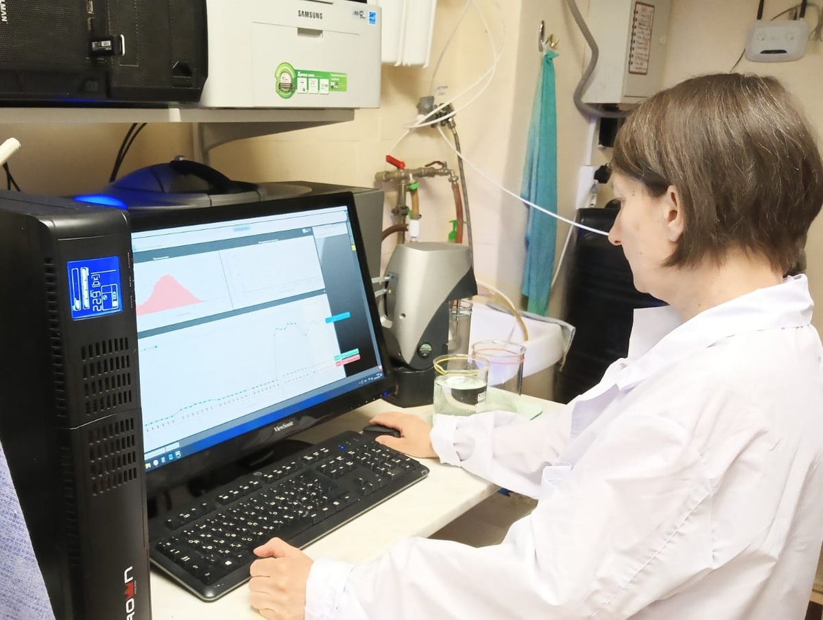 Соавтор исследования Людмила Лазукова за процессом статистической обработки данных. Источник: Людмила Лазукова / РГПУ имени А.И. Герцена