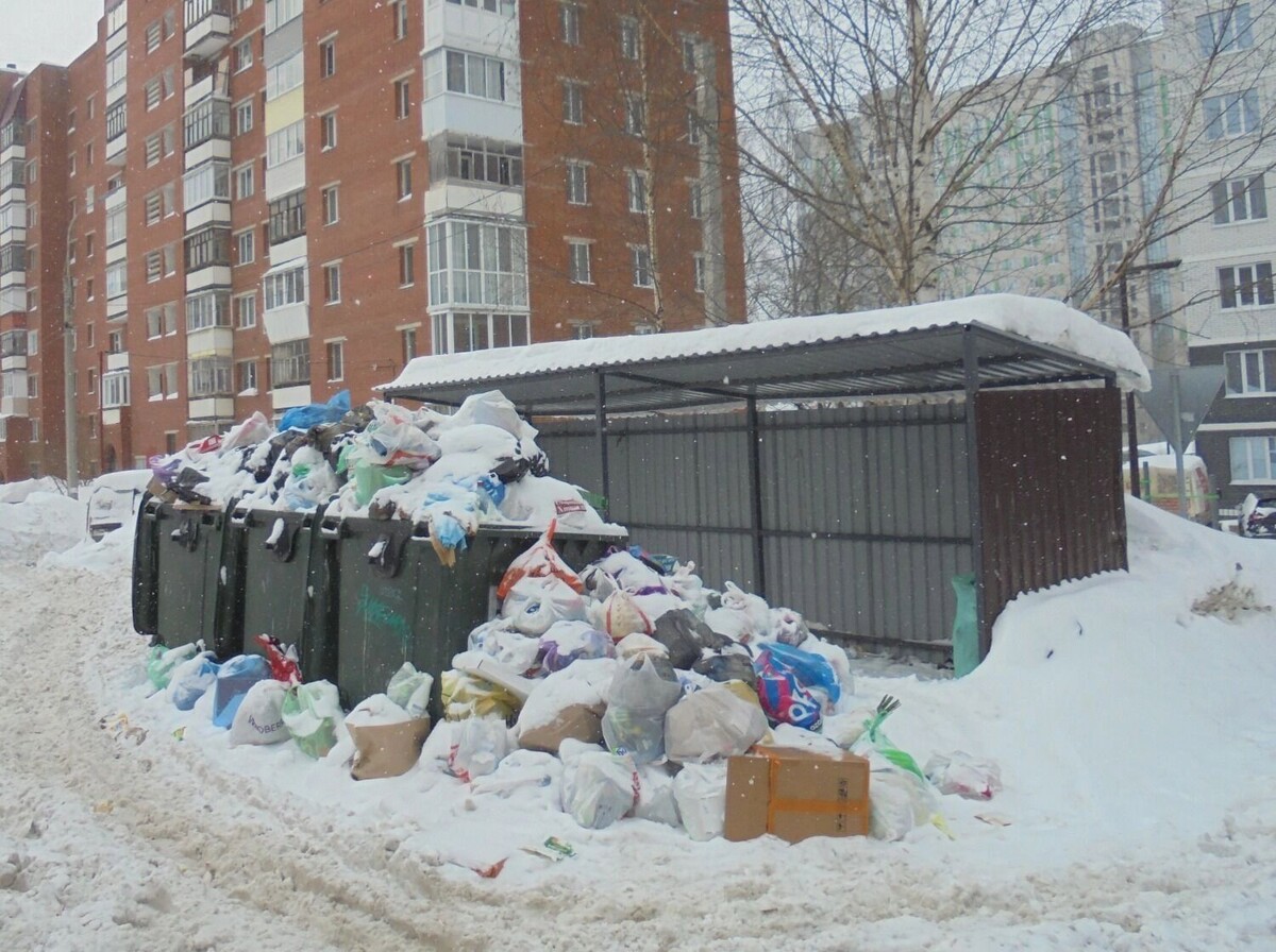    Контейнерная площадка на ул. Ипподромная,17 Ижевска   пресс-служба управления Роспотребнадзора по Удмуртии