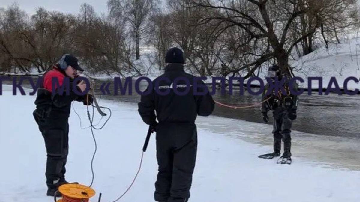    Фото: ГКУ «Мособлпожспас» / Telegram