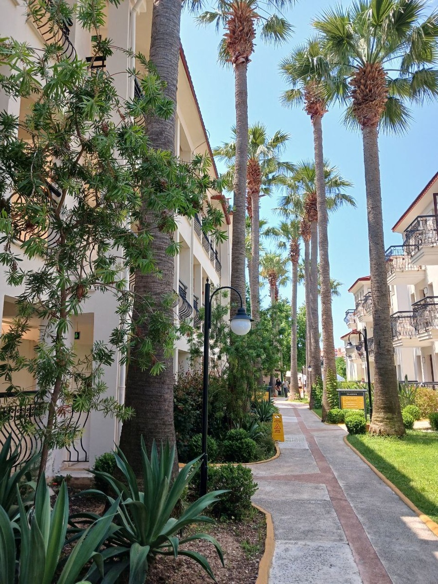 Дорожка к набережной