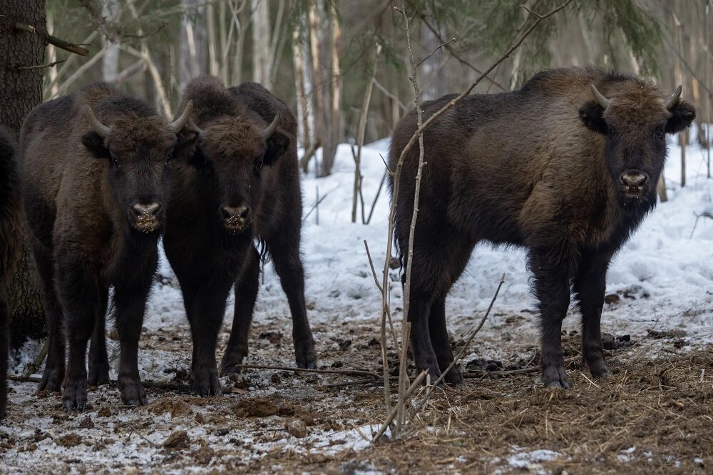    Фото: АиФ-Калуга/ Виталий Верескун