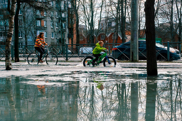Алексей Даничев/РИА Новости   📷