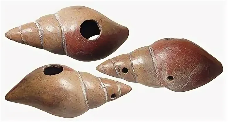 Древнейшие духовые инструменты Мезоамерики
