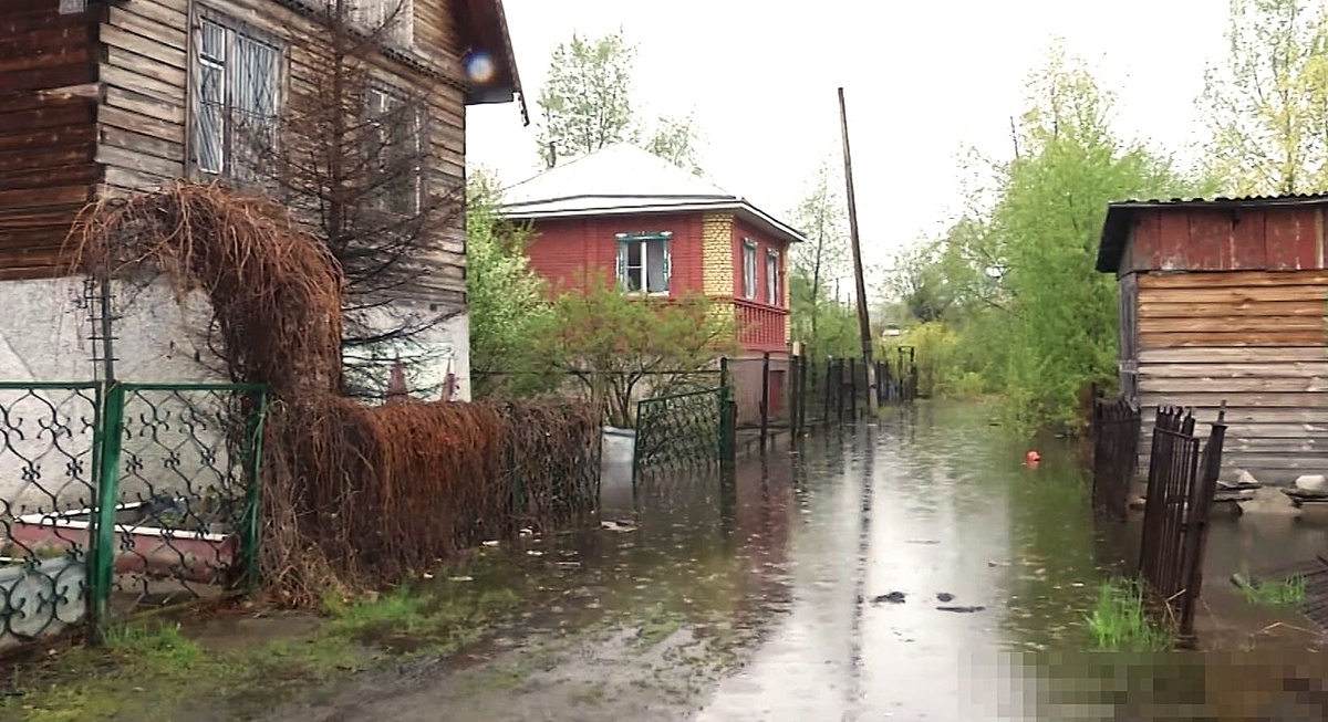 Фото из архива newsib.net.