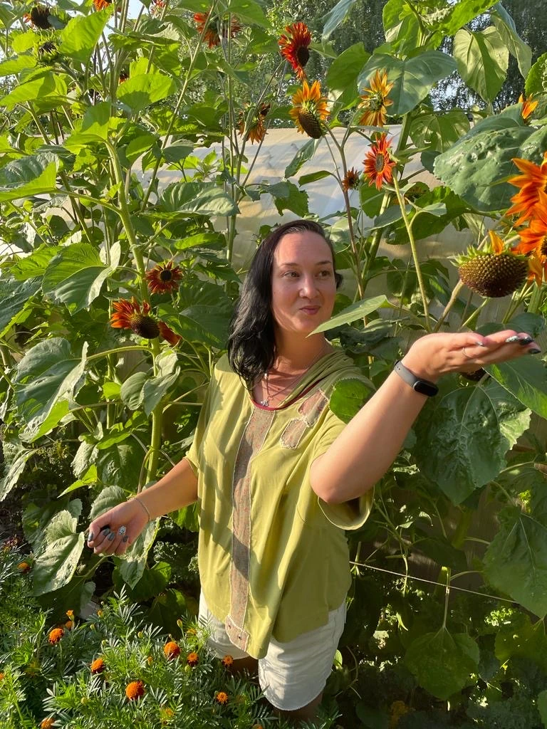 Подсолнухи 2020, закрыли свет во всей теплице, но были прекрасны...