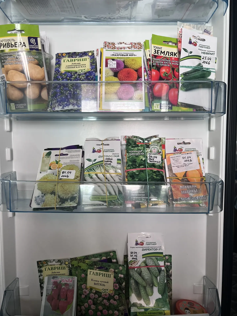 Моя прееелесть!