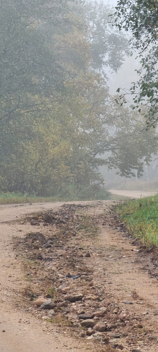 Дорога НаСтаройСмоленской
