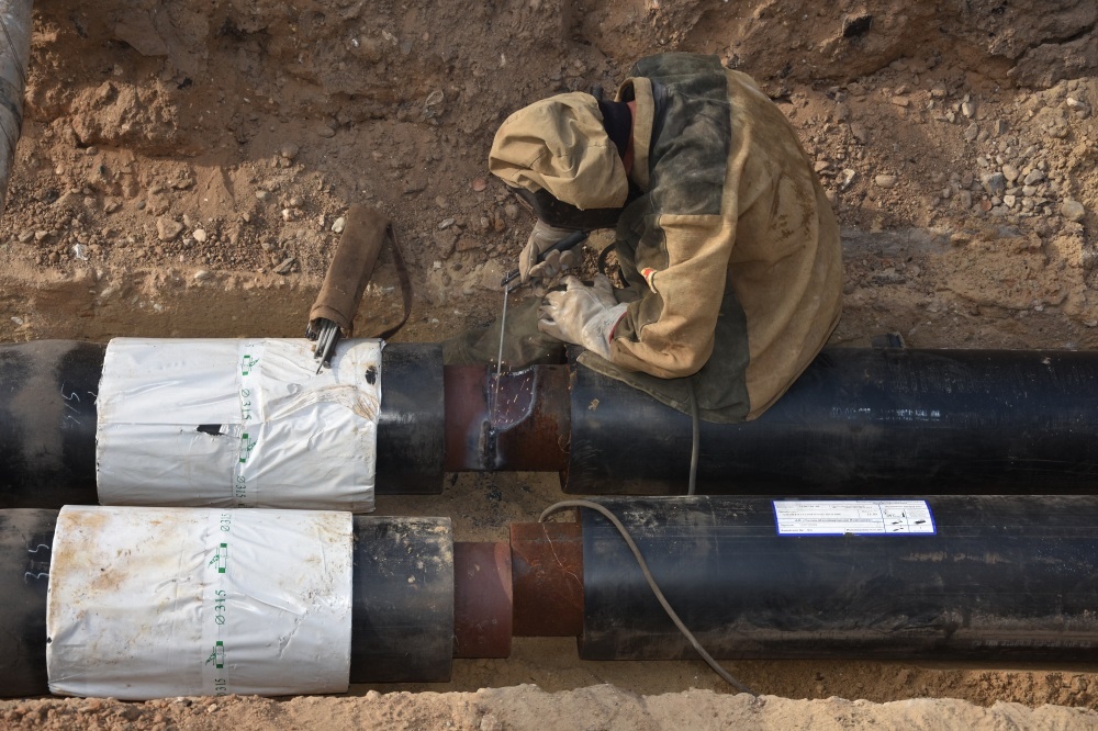    grad.kostroma.gov.ru