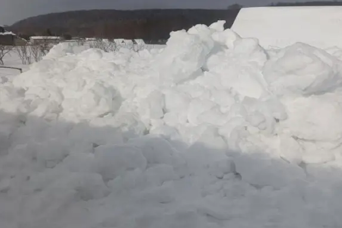    Фото: источник: izvmor.ru