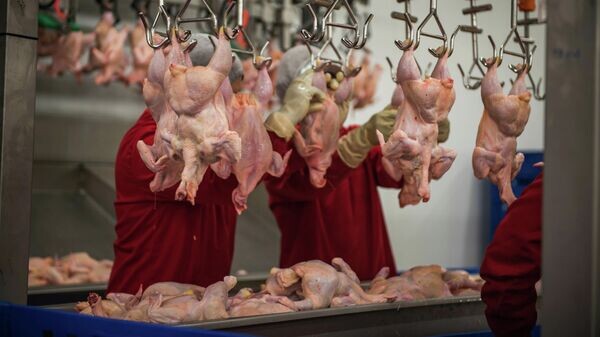    © Sputnik / Табылды Кадырбеков