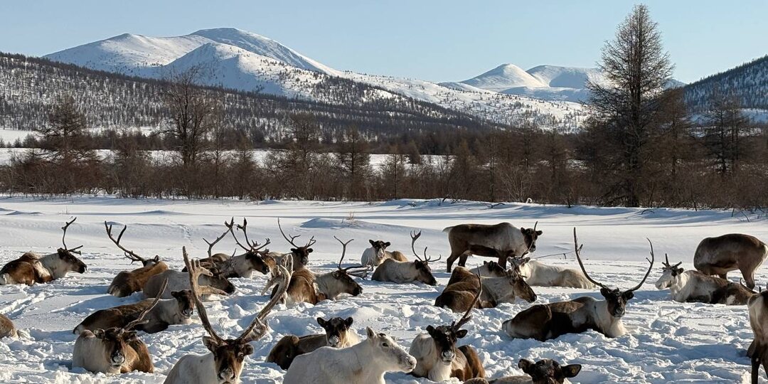 Автопробег по Колыме