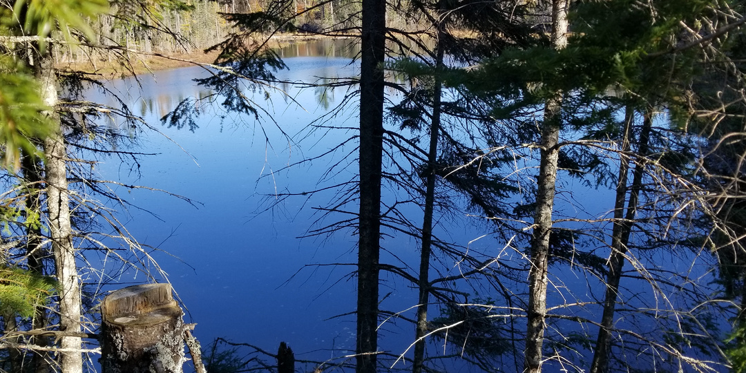 «Испытание тишиной, труд и временный отказ от внешней информации»