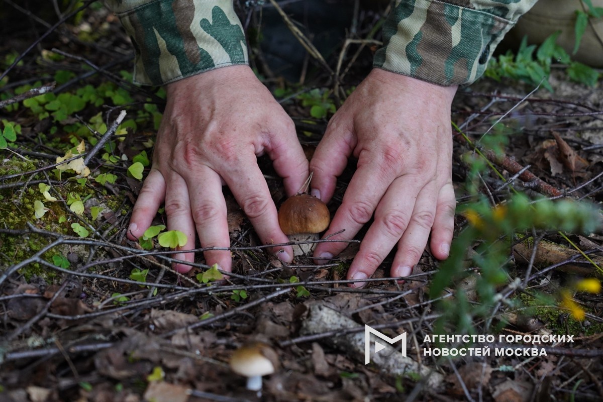 Фотограф: Александр Авилов