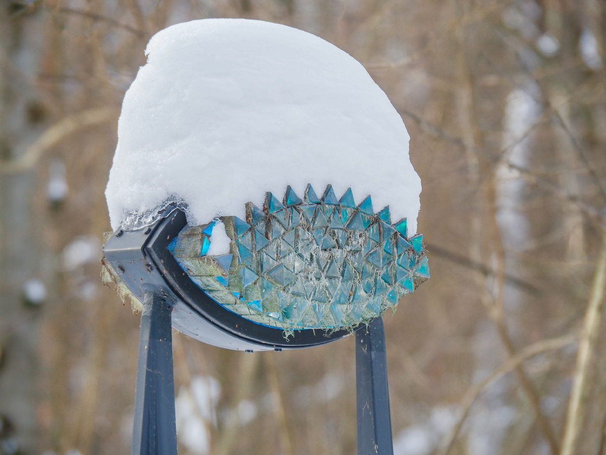 Встреча. Фото Павел Каманин