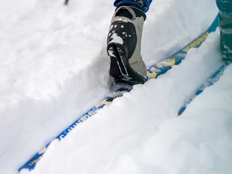     Фото: Людмила Ковалева (из архива «Южноуральской панорамы»)