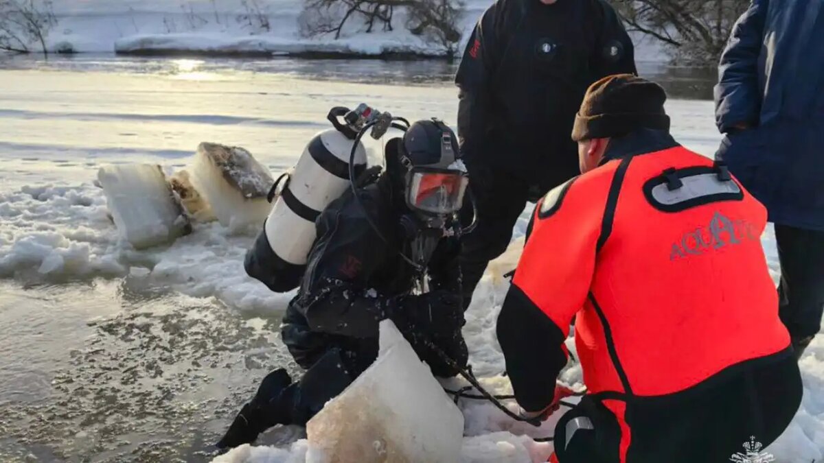    Поисковые работы. © t.me/ivanov_live